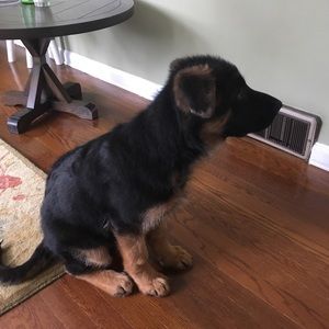 Meet your Posher, Grace